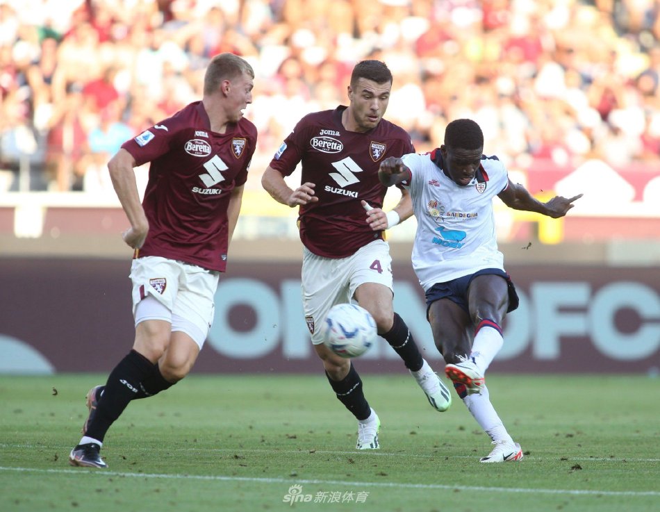 体竞争格局 体竞争格局